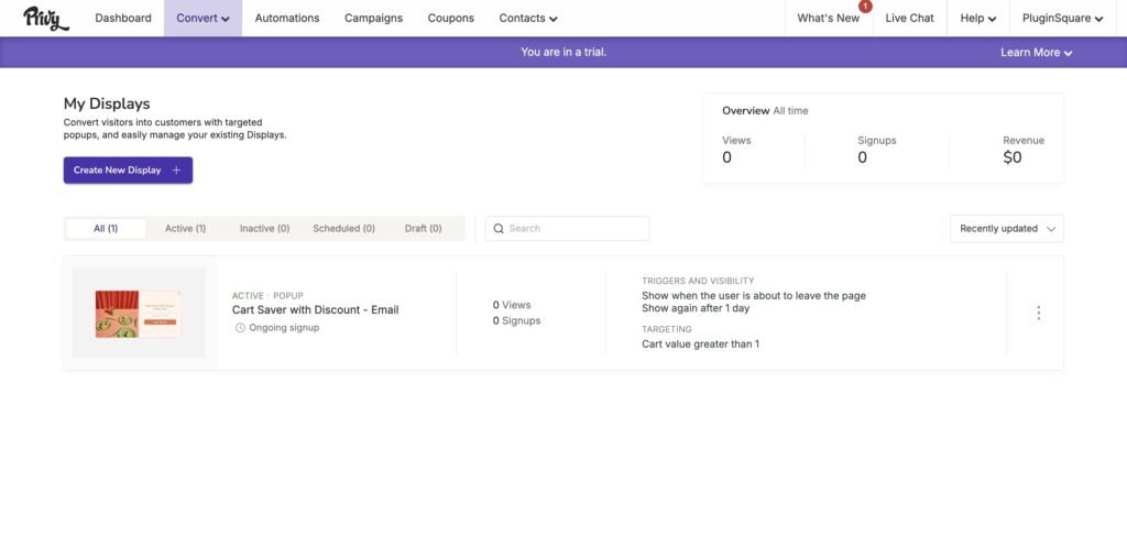 Das Kampagnen Setup von Privy